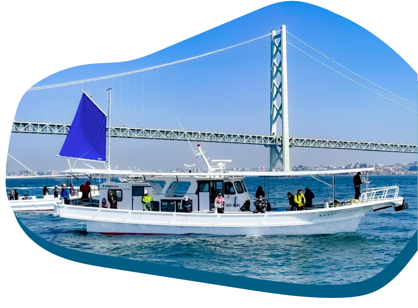The Ship
