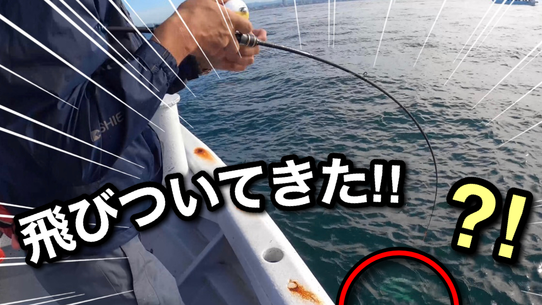泳がせ釣り、根魚を追い求めて数々の漁礁を調査してきました。【淡路島 釣り船くにうみ丸】