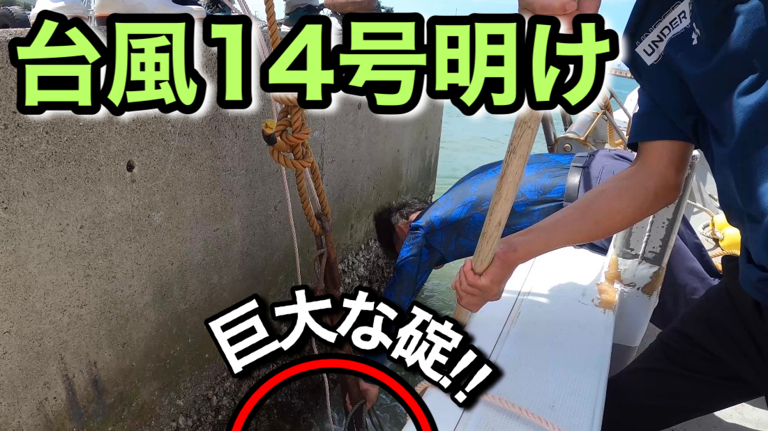 台風14号明け、育波漁港の様子‼︎