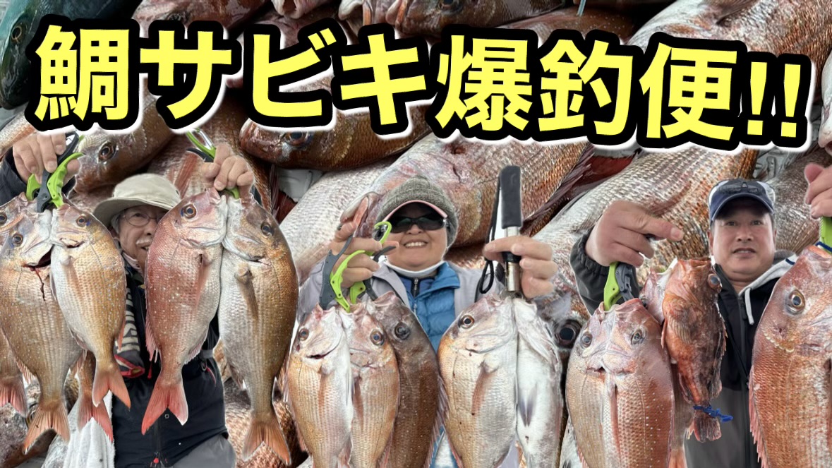 【明石海峡】鯛サビキ爆釣便、終始入れ食いでした！！【釣り船くにうみ丸】